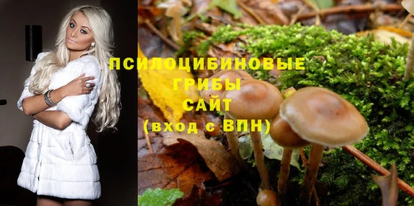 молекула духа Алексин